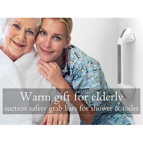 AmeriLuck Suction Shower Grab Bar Wayfair